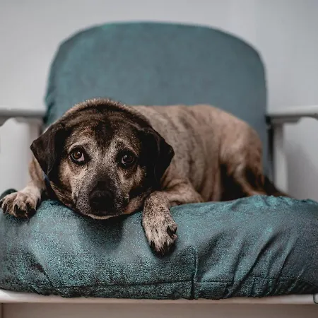 Zeglarski Bed & Breakfast